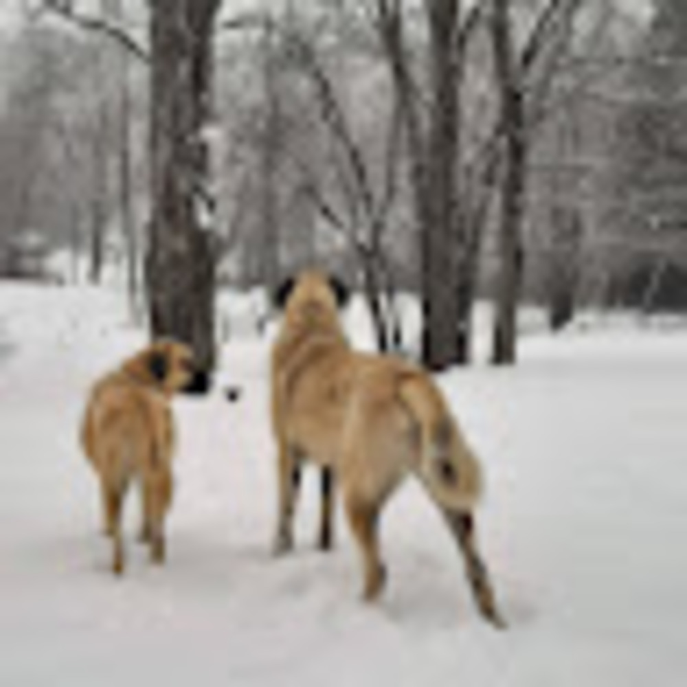 Meet your Posher, A girl